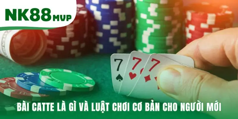 Luật chơi Catte cơ bản bắt đầu với 6 lá bài được chia