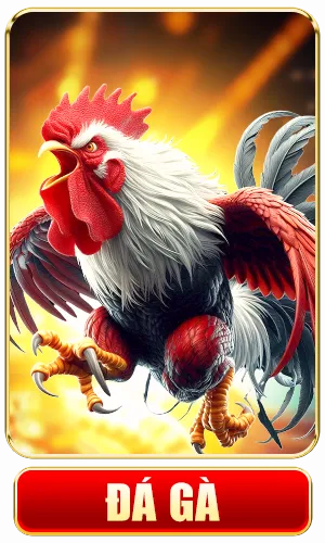 đá gà nk88