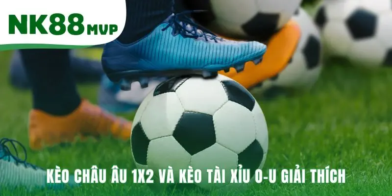 Các dạng kèo nhà cái Châu Âu và Tài Xỉu dễ hiểu cho người mới